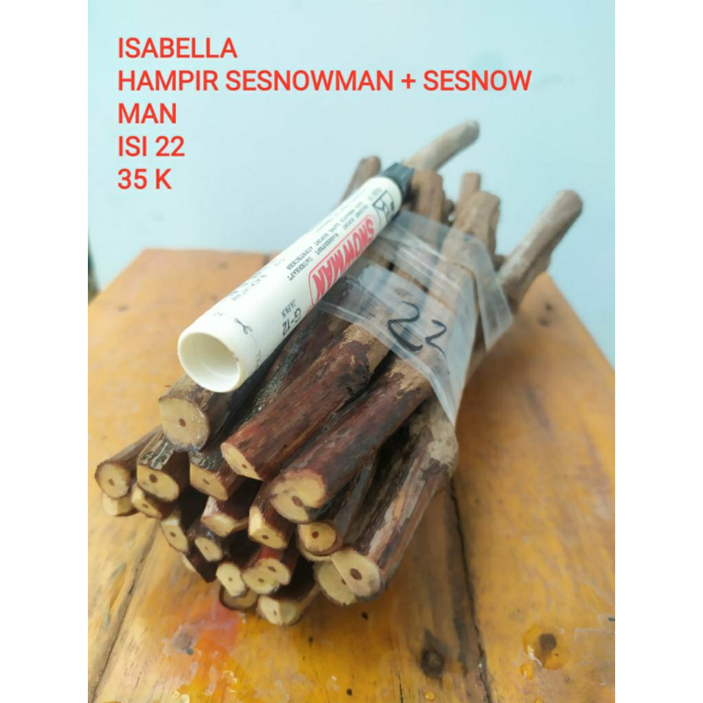 cutting anggur isabella/red master