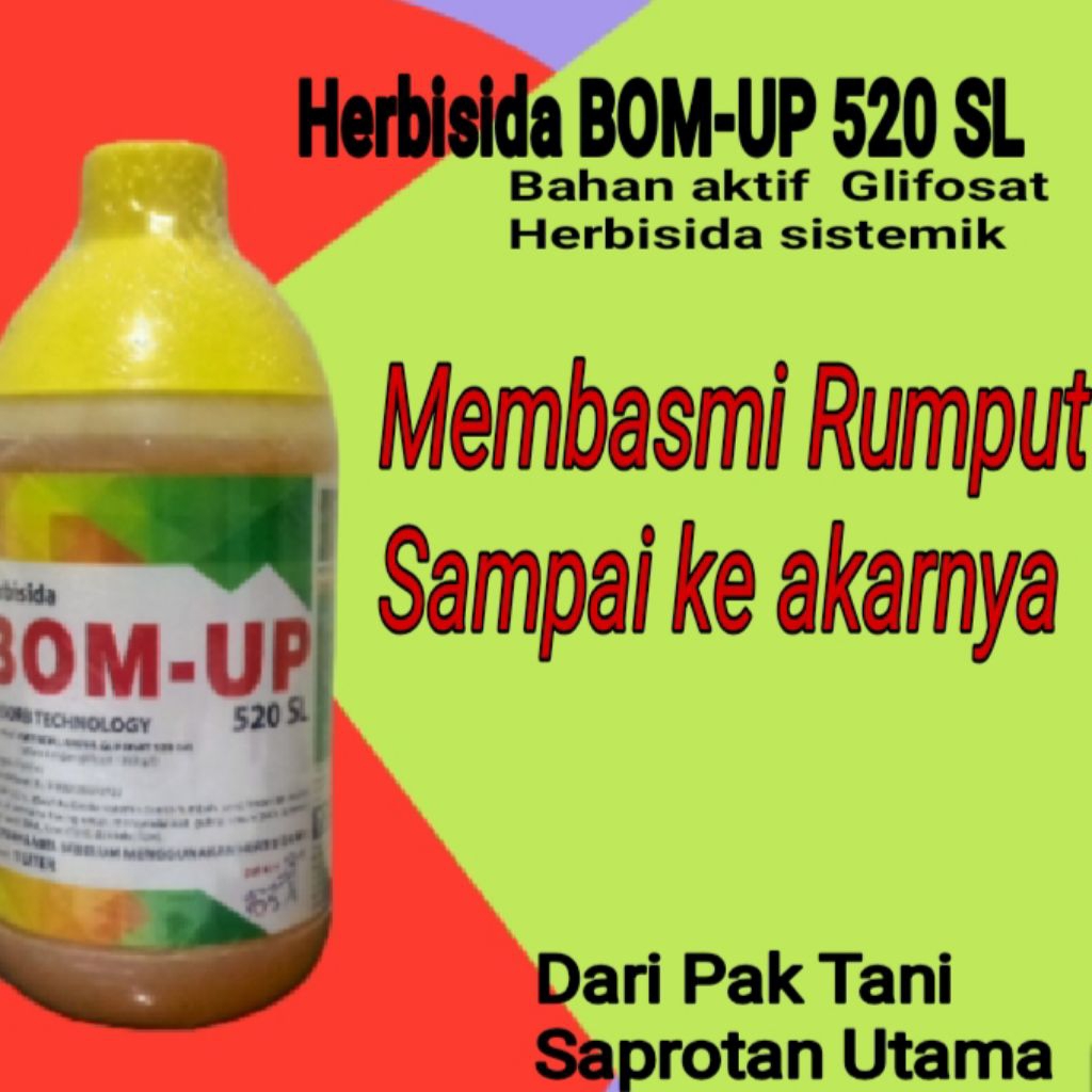 Herbisida BOM-UP 520SL Herbisida Sistemik non selektif membrantas rumput sampai sebenarnya