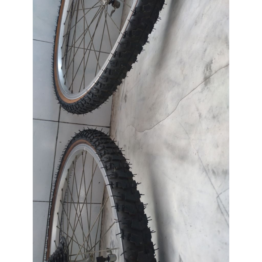 whelset araya  26 japan