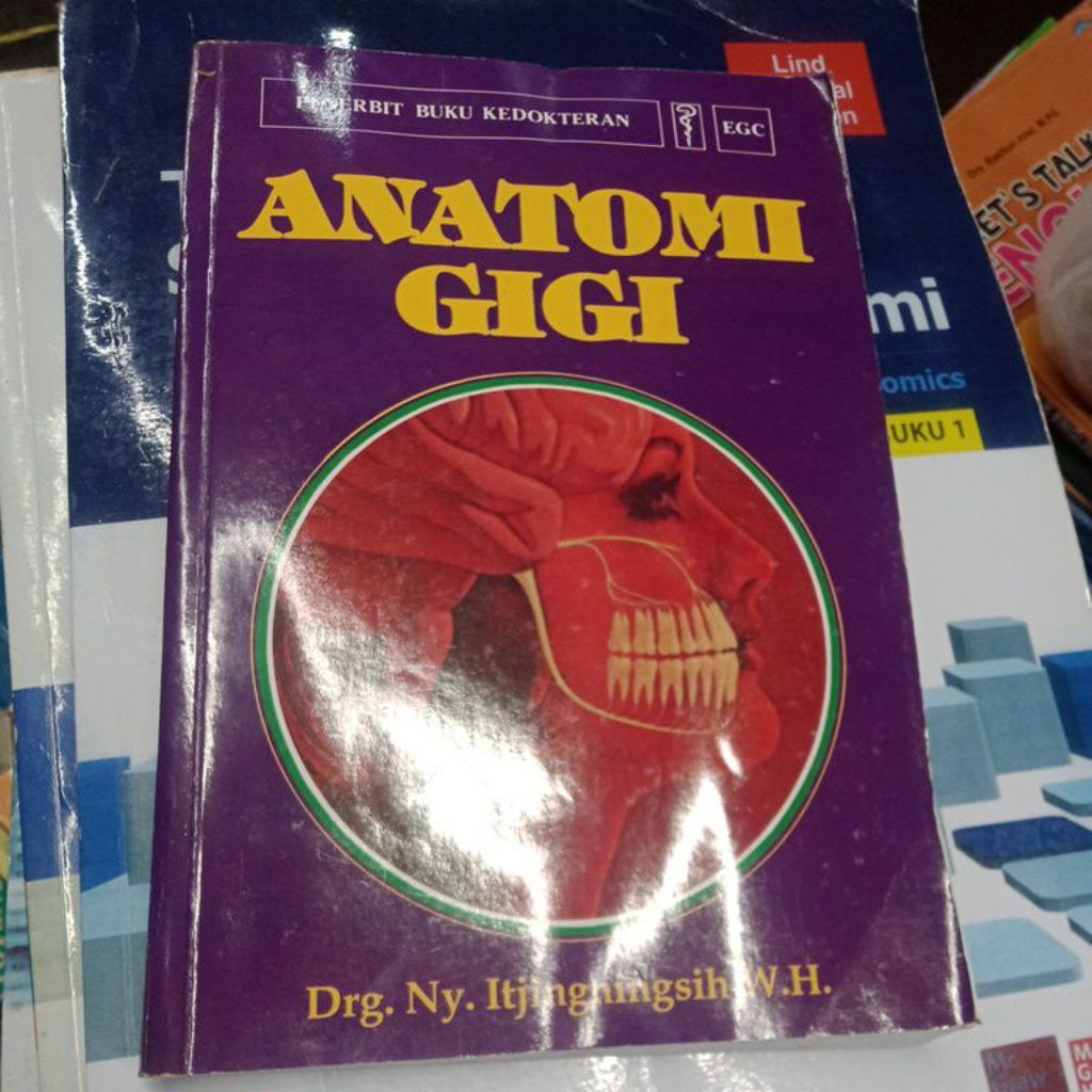 Anatomi gigi