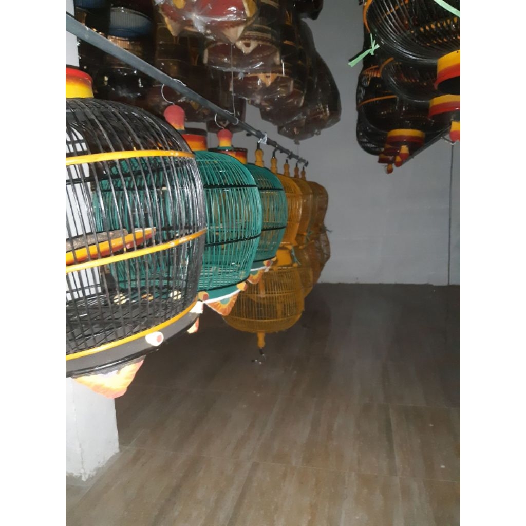 sangkar burung derkuku hanya instan