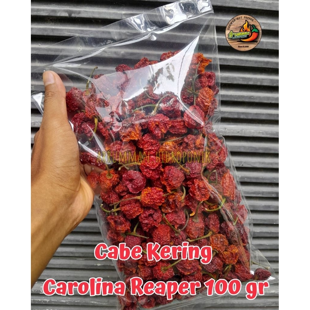 Cabe Kering Carolina Reaper Buah Utuh Isi 100 Gram