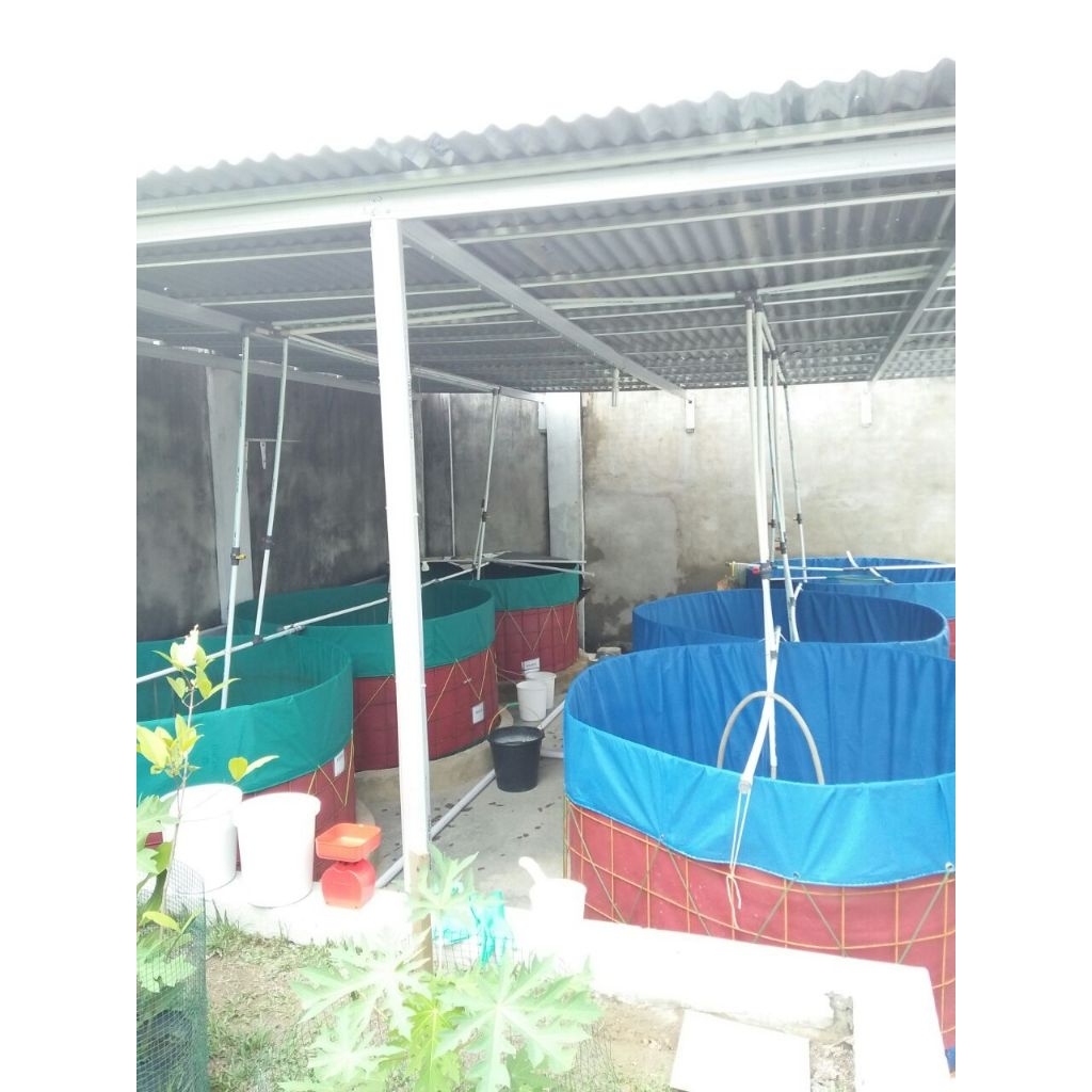 kolam terpal bulat D 2 T 50cm. Bahan terpaulin pvc merk orchid korea tanpa rangka