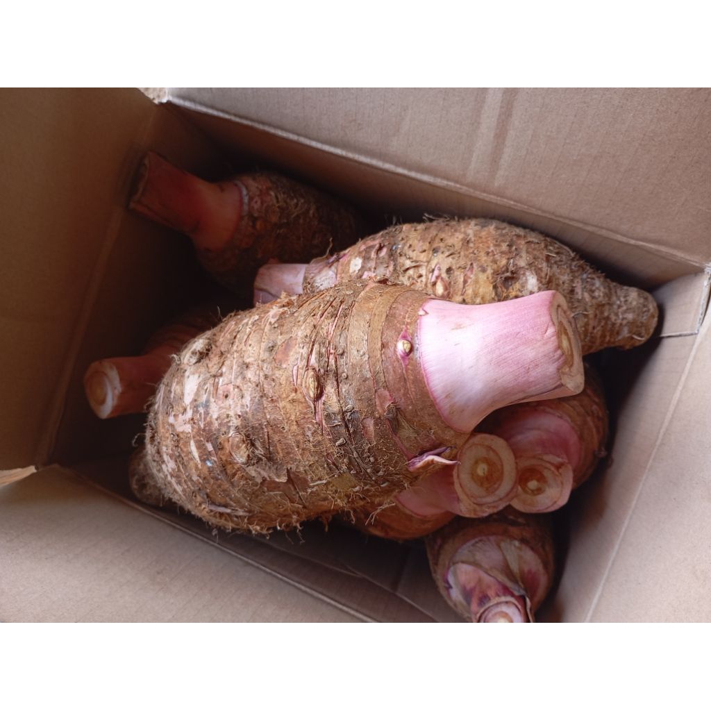 ubi talas ungu/Pratama 3 1kg