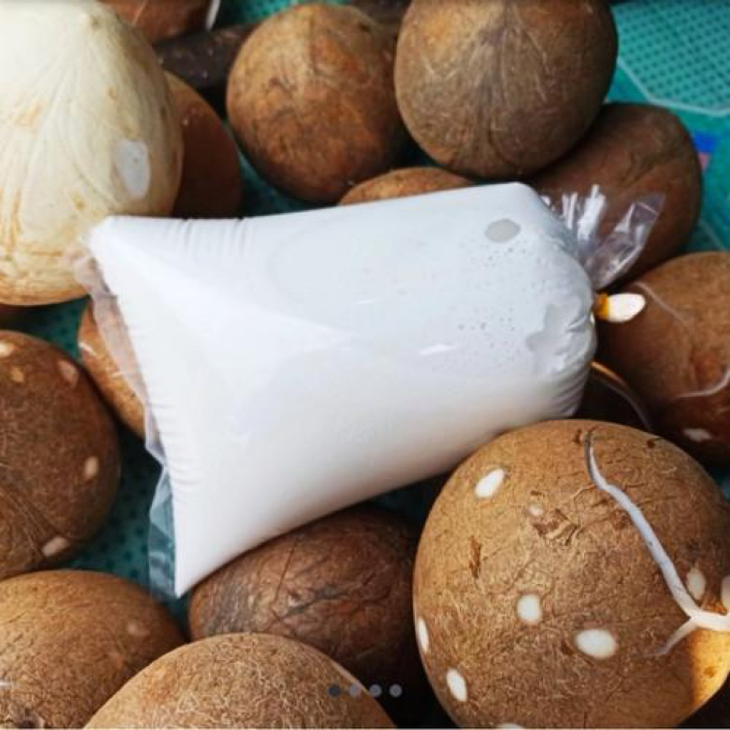 santan murni 1 kelapa