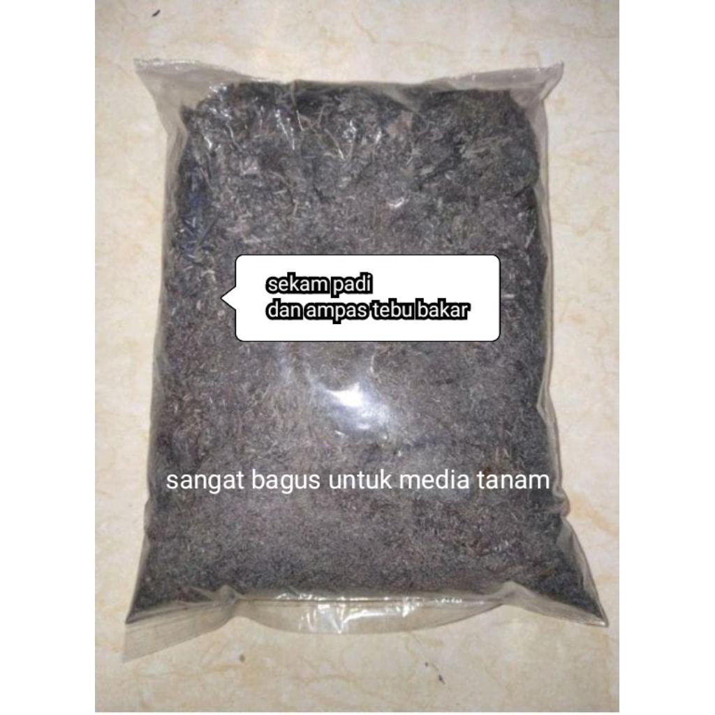 sekam padi bakar campur ampas tebu bakar