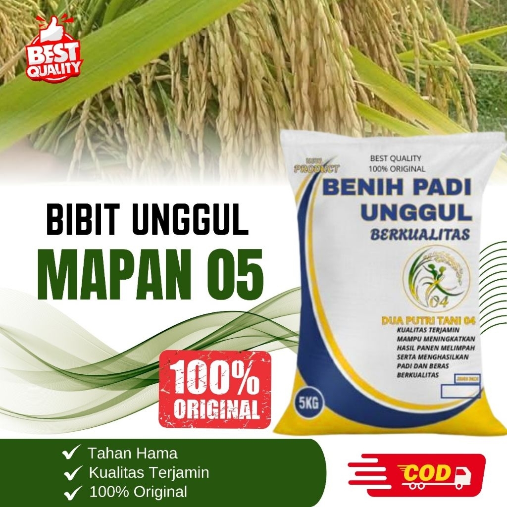 bibit PADI MAPAN 05 kemasan 5kg