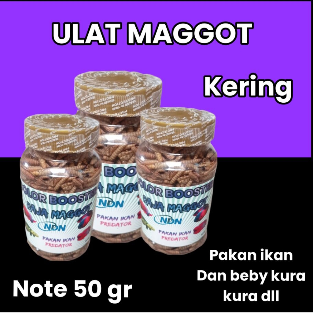 ulat ulet magot kering pakan ikan dll