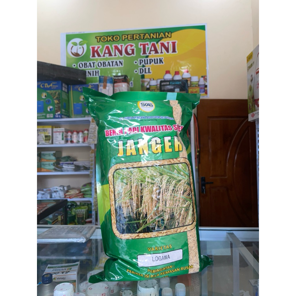Benih padi super LOGAWA CIHERANG JANGER 5KG