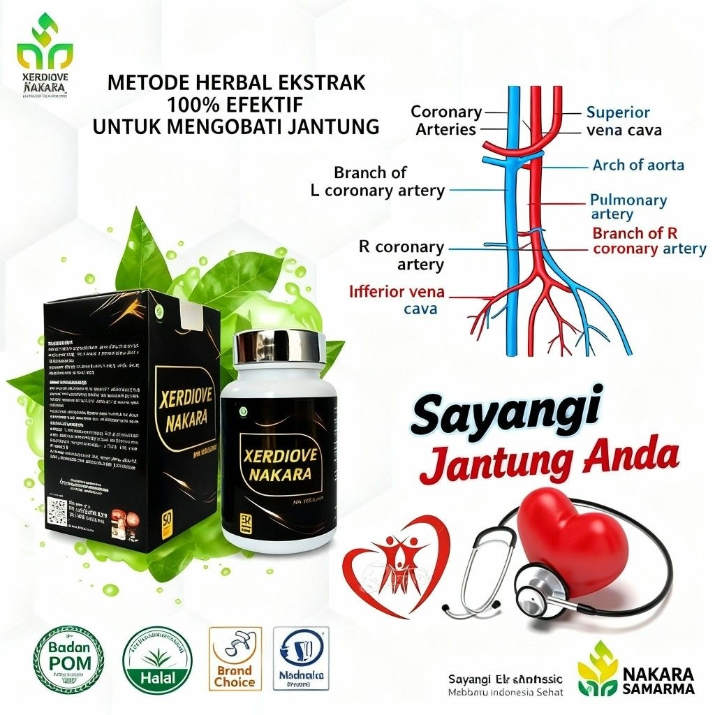 Obat Jantung Yang Bagus XERDIOVE NAKARA: Solusi Herbal Terbaik untuk Jantung Sehat, Jantung Kuat