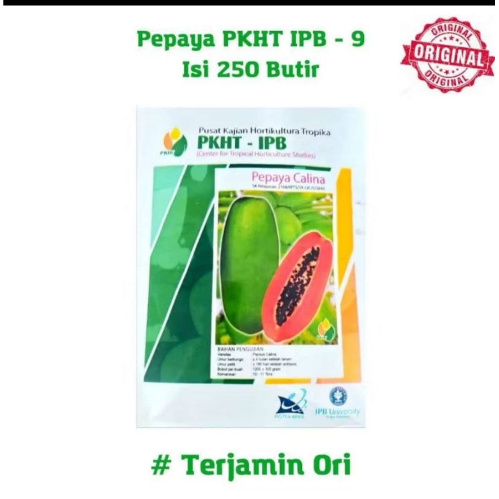 Benih Pepaya Calina/California isi 250 butir inovasi IPB 9 PKHT