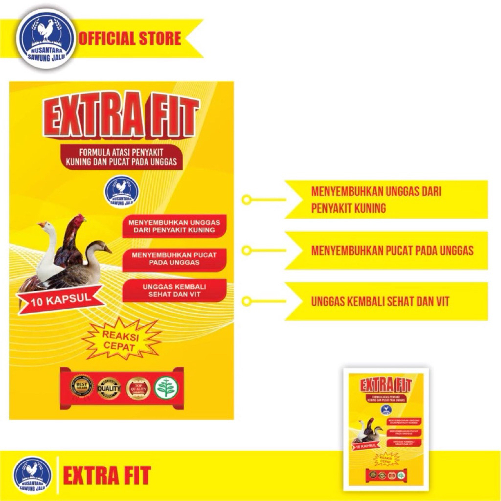 Obat Lumpuh dan Pincang Ayam(Extrafit)