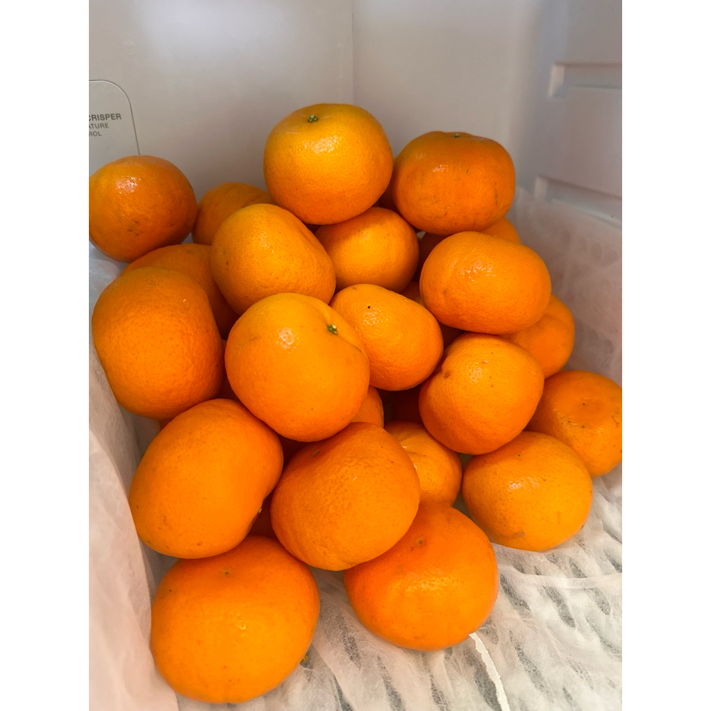 GARANSI Jeruk Mandarin/Murcot 1kg