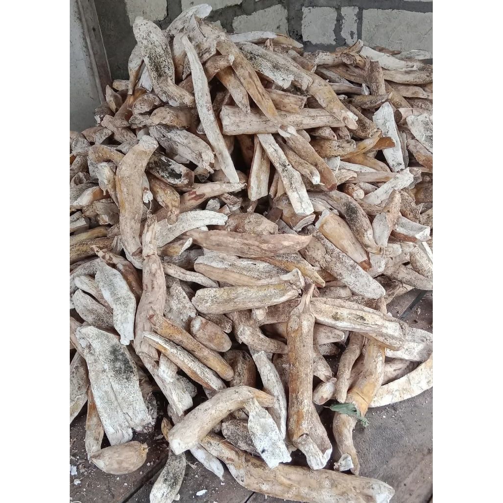 gatot singkong / gatot mentah 1kg