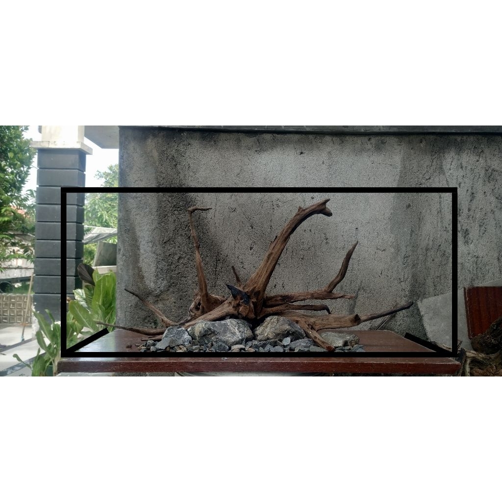 kayu aquascape