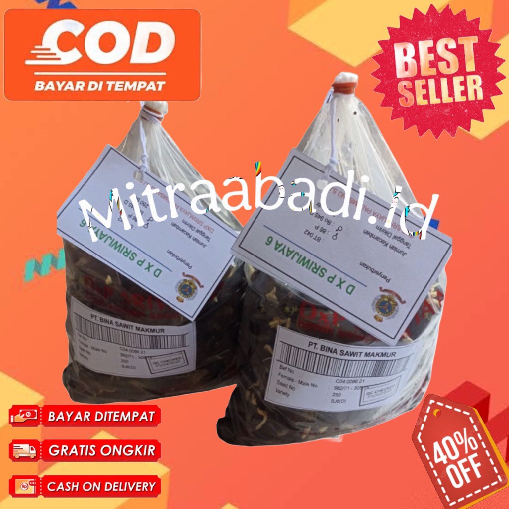 KECAMBAH SAWIT SRIWIJAYA 6 BERSERTIFIKAT UNGUUL isi 250 butir DAN 150 butir