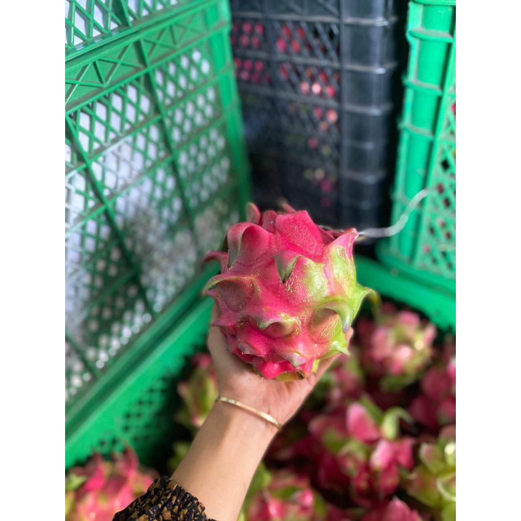 Buah Naga Merah 1kg