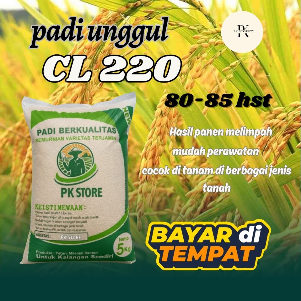 Benih padi unggul CL220 ORIGINAL Kemasan 5kg