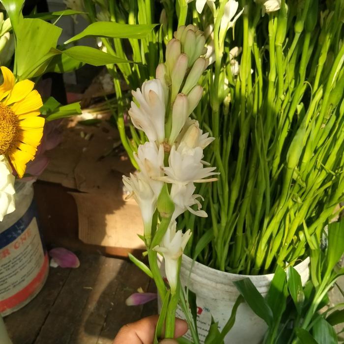 Bunga Sedap Malam Palsu Bunga Sedap malam Artificial Bunga sedap malam plastik Hiasan bunga 1pcs sed