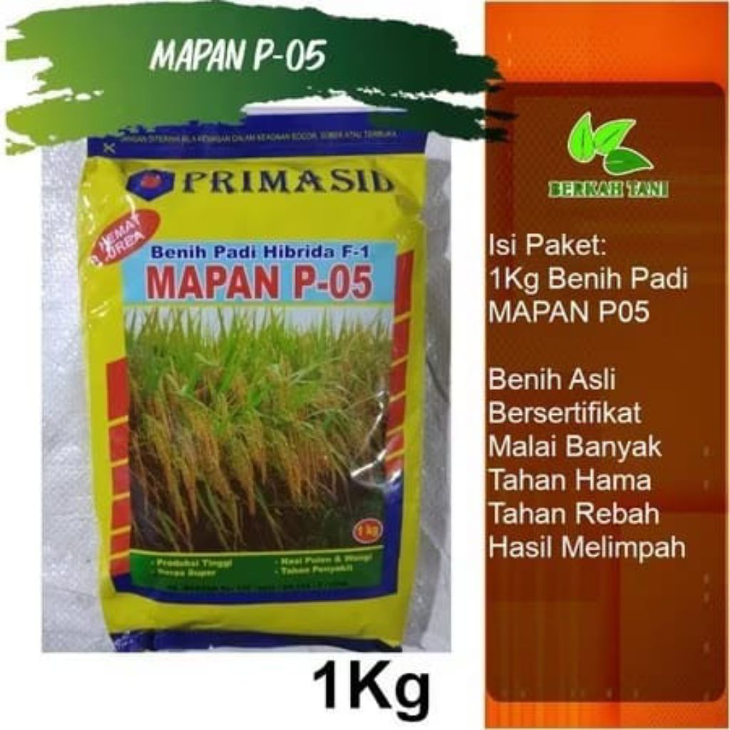 NGABISIN STOK BOOSSS. Benih padi mapan P-05 1KG Exp:07.2026 KEMASAN BARU PABRIK ASLI