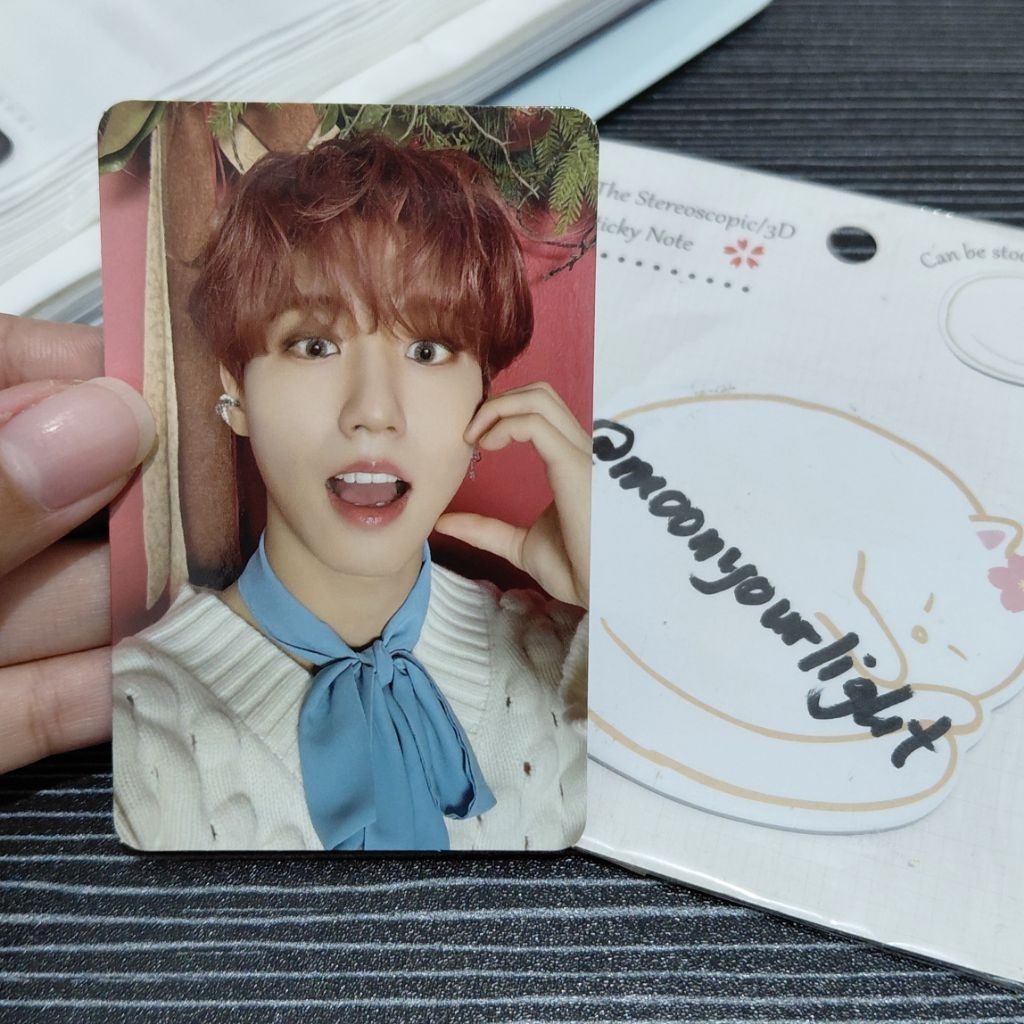 Photocard PC Christmas Evel Han Stray Kids Skz