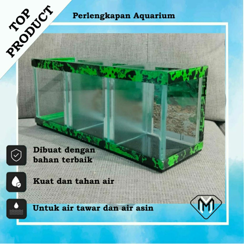 MINI AQUARIUM IKAN CUPANG CHANA GUPPY / TANGKI KACA MINIMALIS IKAN CUPANG / AQUARIUM IKAN CUPANG MUR
