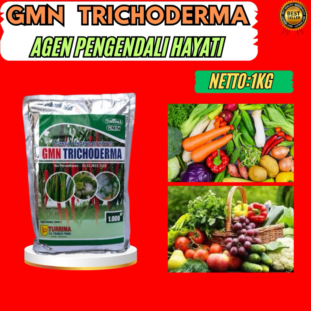 SOLUSI AMPUH  GMN GMN Trichoderma Anfush Untuk Cabe GMN GMN Trichoderma Bubuk Isi 1kg