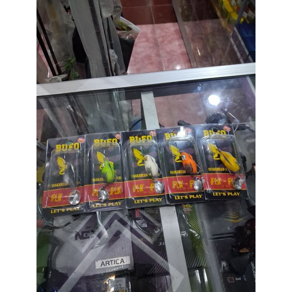 SOFT FROG BUFO B. BAGONG