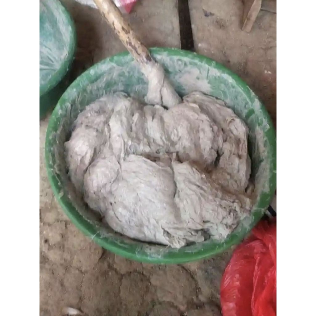 KUCUR UMPAN IKAN BAUNG