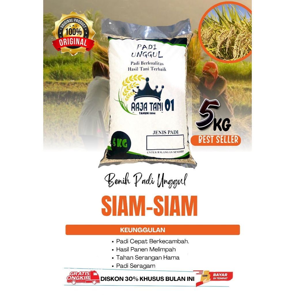 Benih Padi Unggul 5Kg Siam-Siam Original