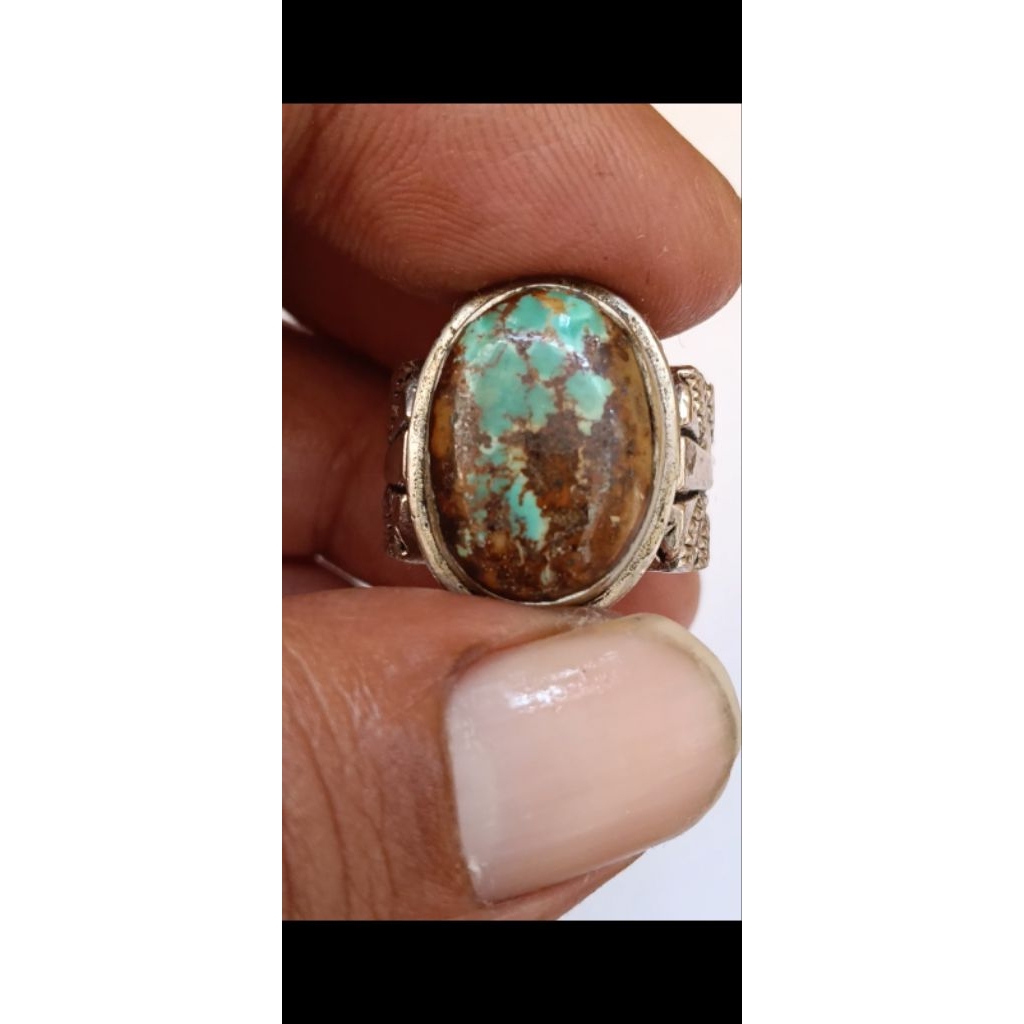 Natural.pirus persia lawasan