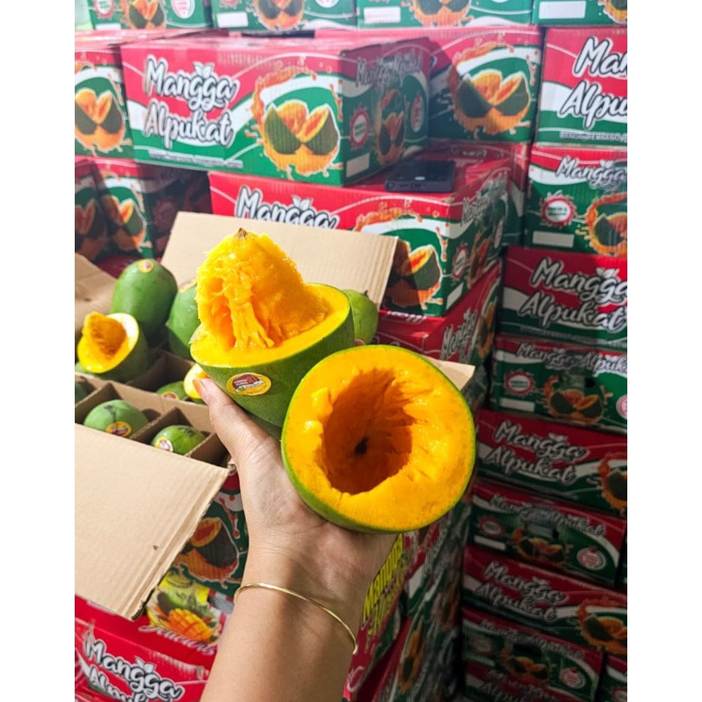 Mangga Alpukat 1 dus