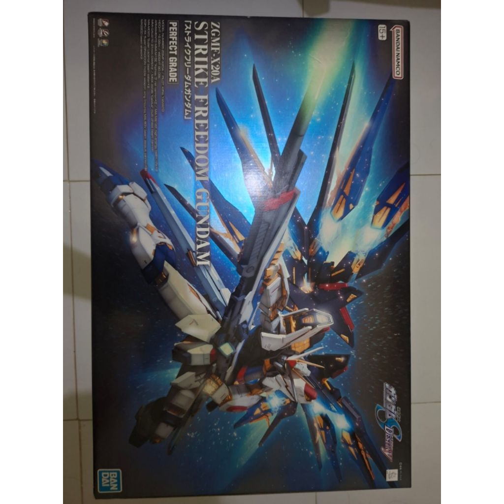 PG Perfect Grade Strike Gundam BIM + Rg freedom gundam bundle