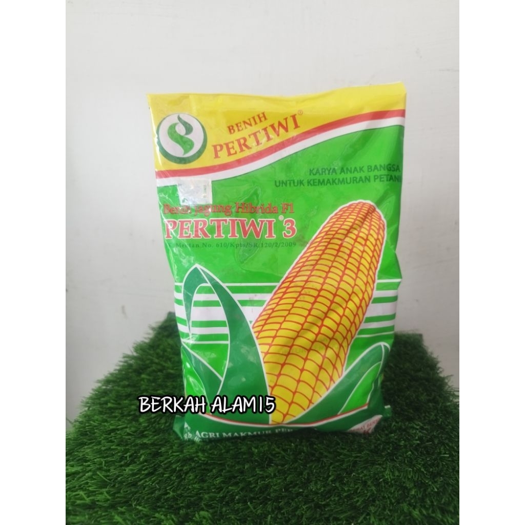 Bibit jagung pertiwi 3