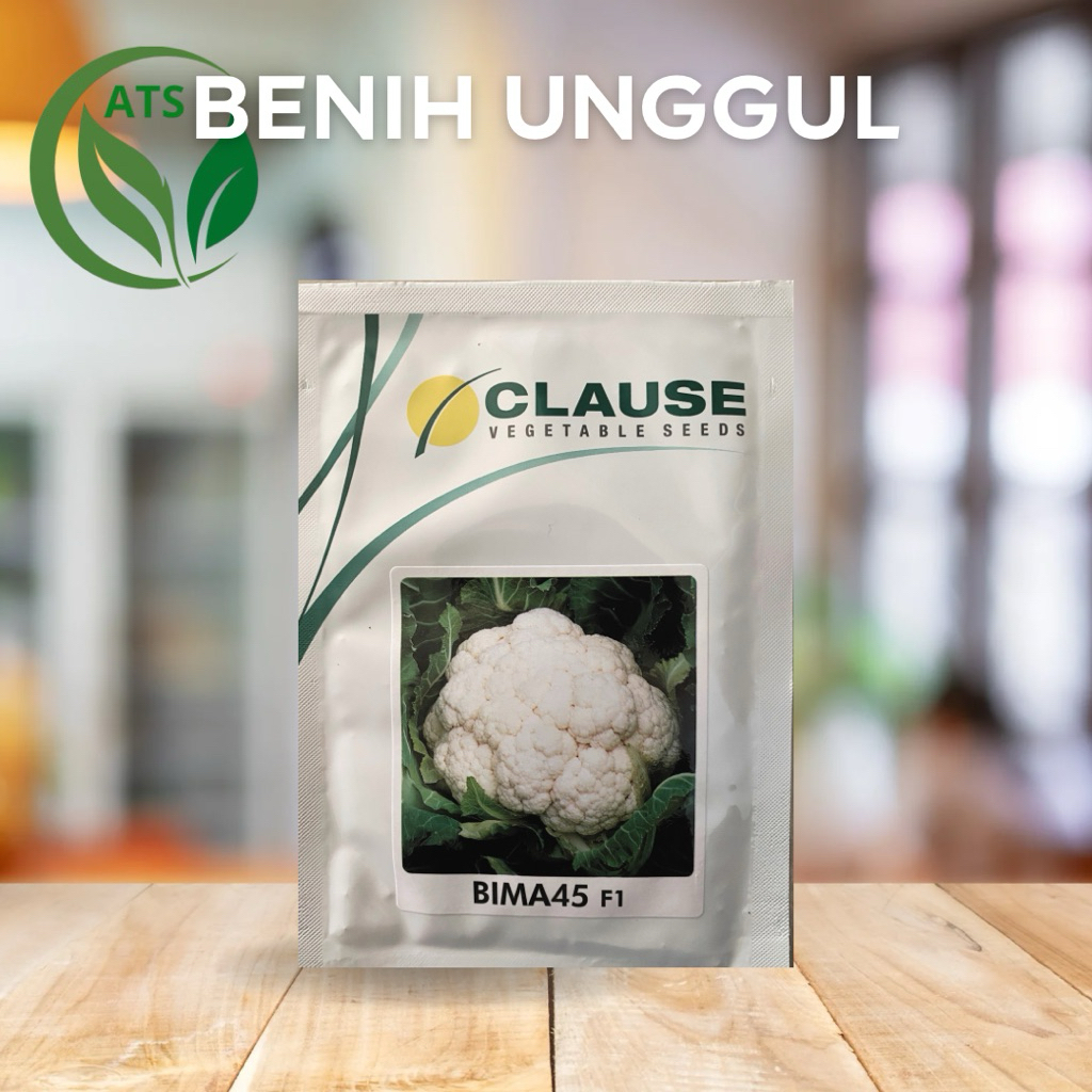 benih bunga kol bima 45 f1 clause