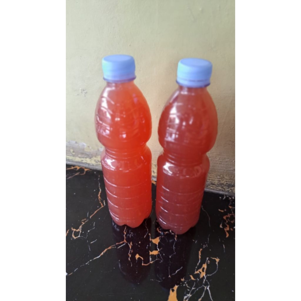 fotosintesis bakteri (PSB) 600 ml