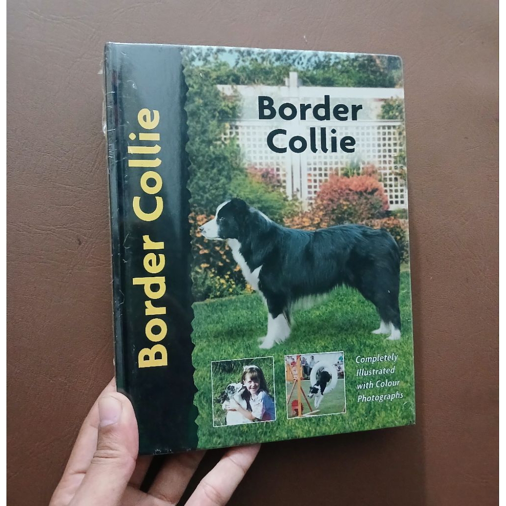 Pet Love: Border Collie