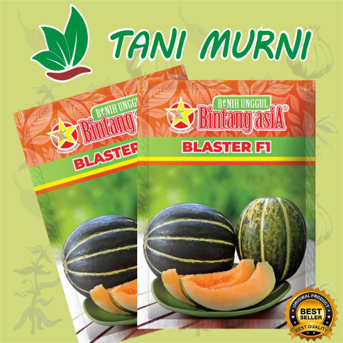 PROMO BENIH BIBIT BLEWAH BLASTER F1 15 GR / Benih BIBIT BLEWAH BLASTER F1 ORIGINAL