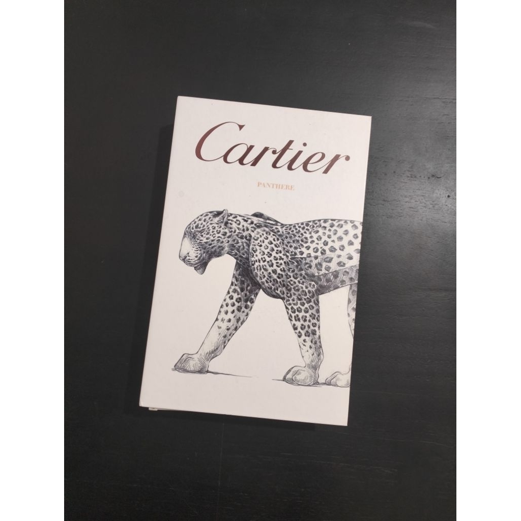 Dummy Book Cartier