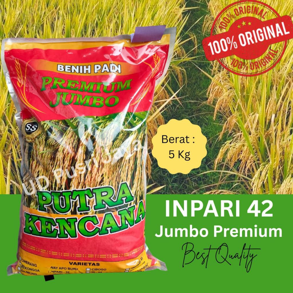 Benih Padi Inpari 42 Bermutu Tinggi Premium Jumbo Original 5 Kg