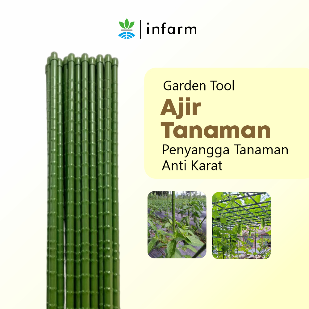 INFARM - Ajir Tongkat Penyangga Tanaman Ra mbat Ukuran 75 cm Anti Karat ajir tanaman, ajir penyokong