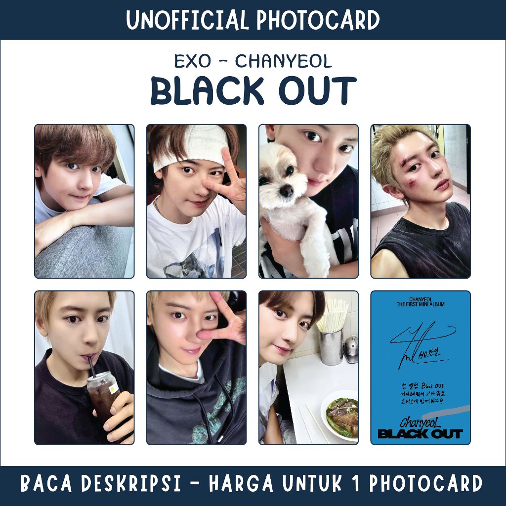 [UNOFFICIAL PC] EXO CHANYEOL - BLACK OUT