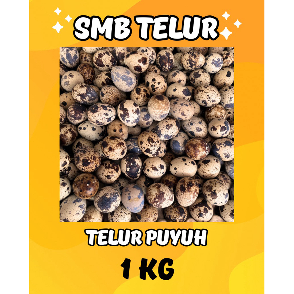Telur puyuh 1 kg