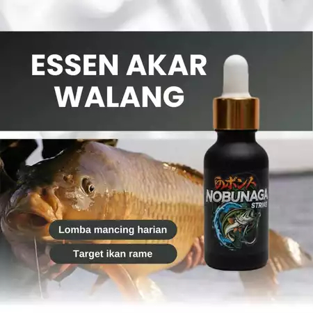 NOBUNAGA STRIKE Essen Akar Walang 30ml | Umpan Ikan Mas Ampuh di Segala Medan Air | Aroma Amis Gurih