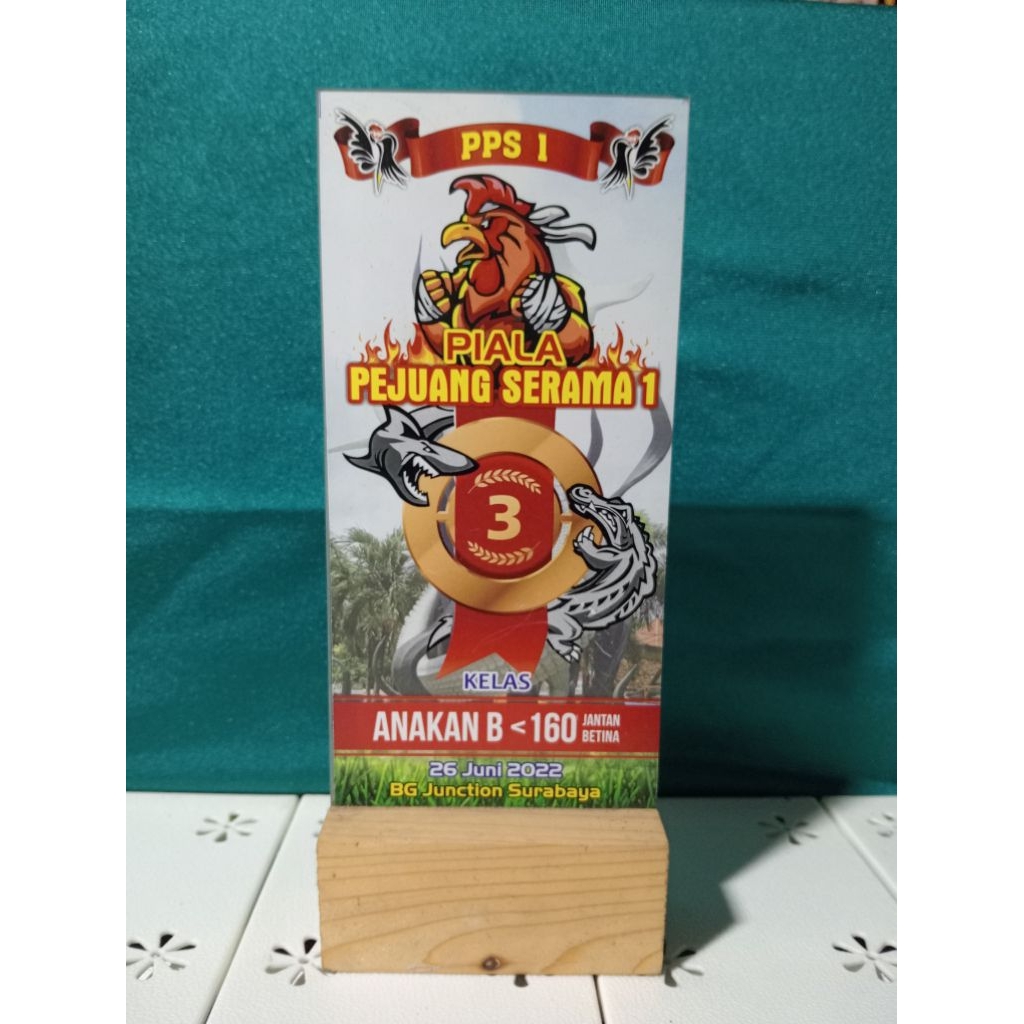 Thropy piala/ souvenir akrilik