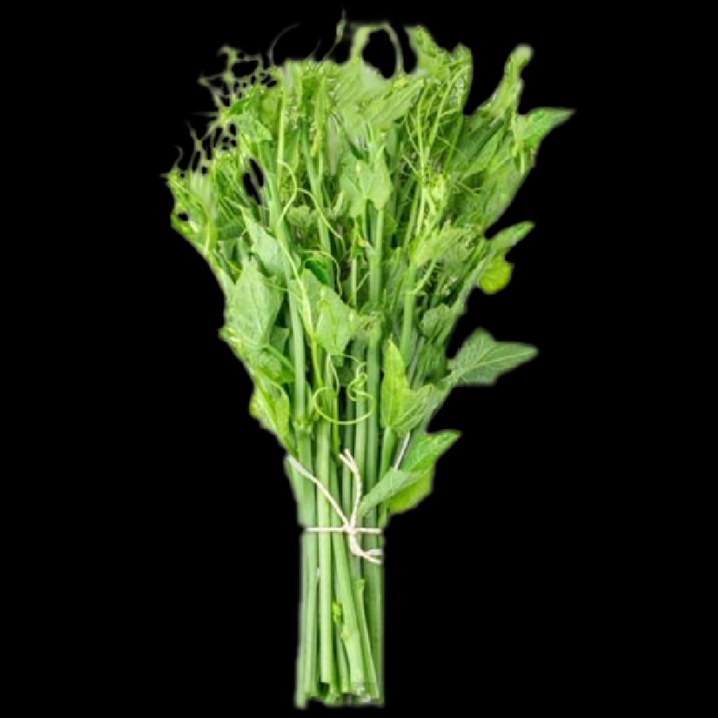 sayuran pucuk daun waluh siap perikat