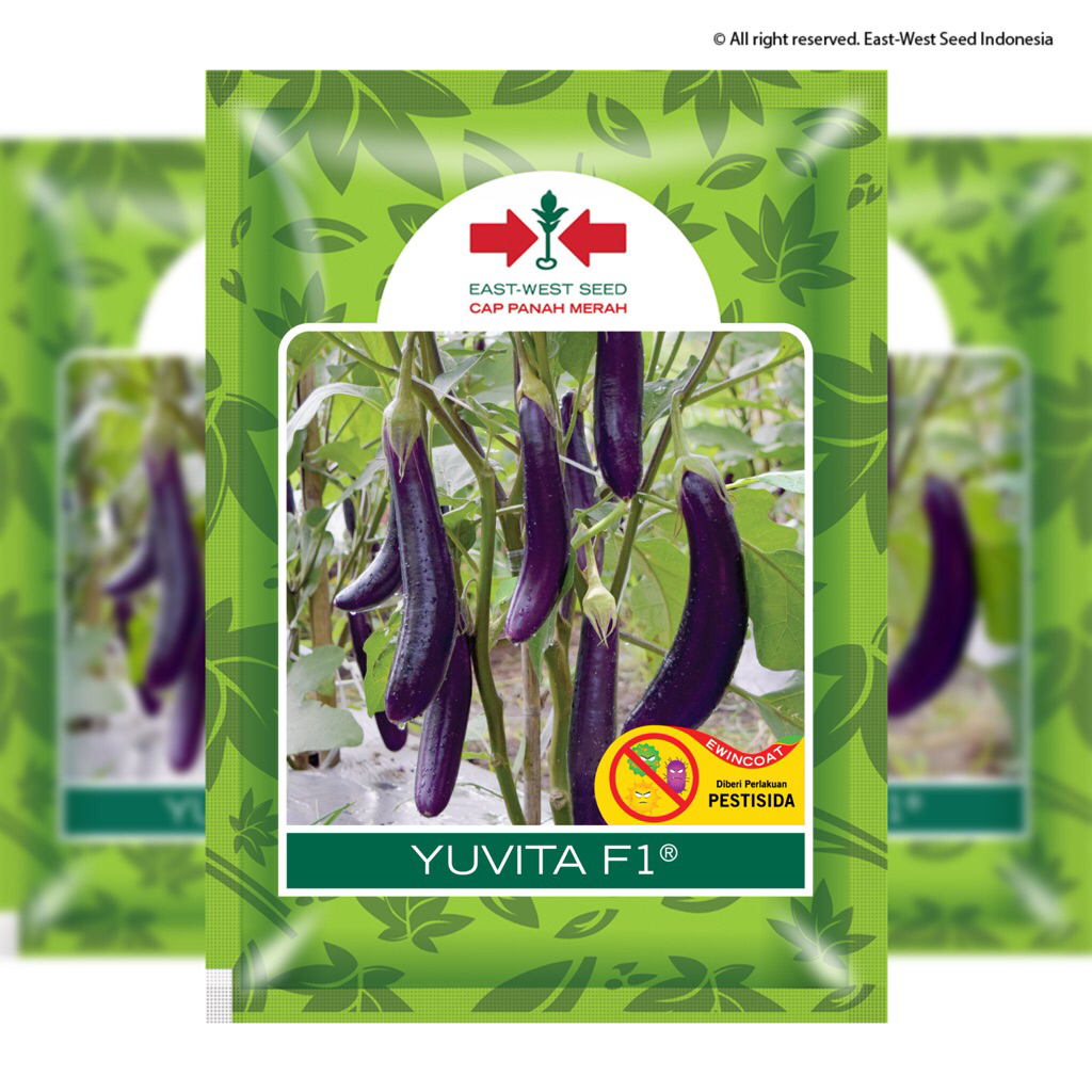 Benih Yuvita F1 1100 biji (Terong Ungu)