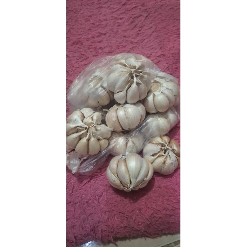 Bawang putih 1kg
