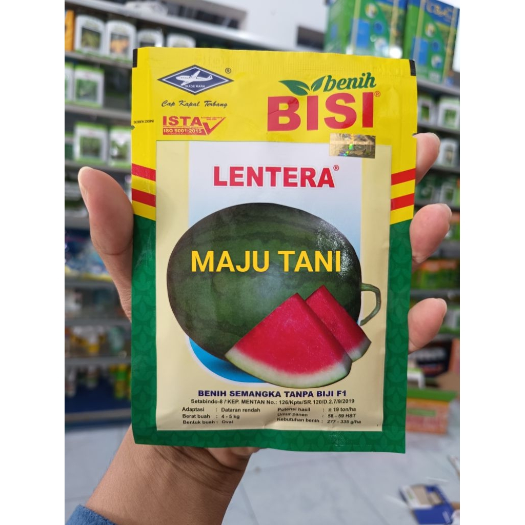 Benih Bibit Semangka Non Biji Lentera F1 (Perawatan Mudah Tahan Virus Isi 20 Gram (Terbaru) - Benih 