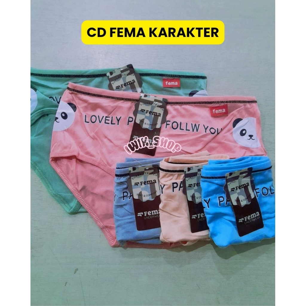 CD FEMA